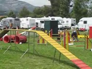 Balka et Violette 2ème degré 20 mai 2008