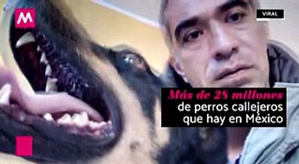 El Borras, la verdadera estrella de Roma