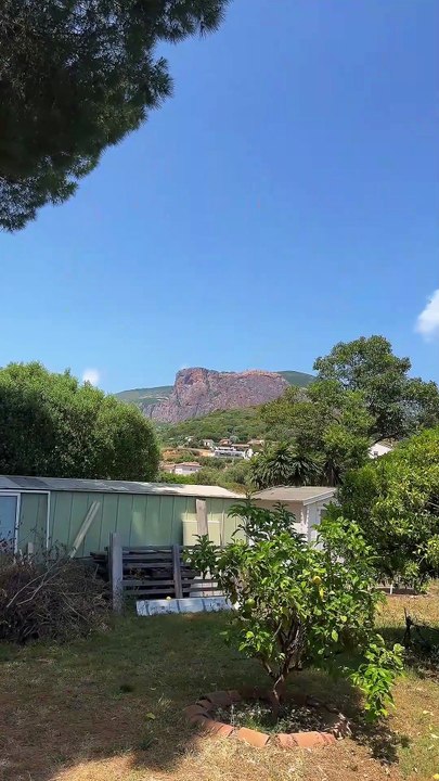 Le retour à la maison