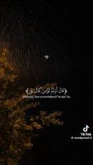 Soothing Quran Recitation #quranrecitation