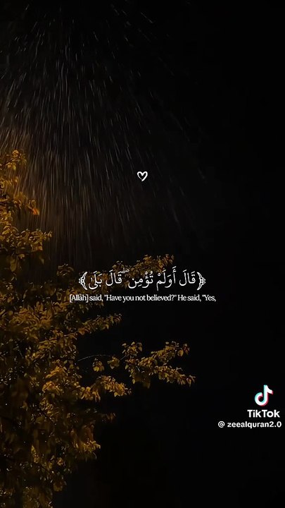 Soothing Quran Recitation #quranrecitation