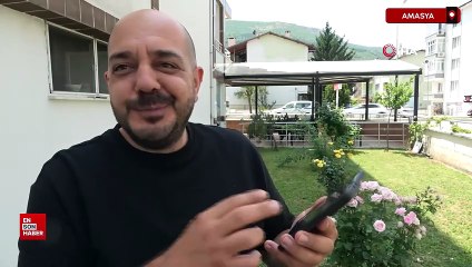 Amasya'da tarlada selfie yaparken üzerinde kene olduğu fark etti