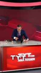 De la calle al estudio: cinco gatitos invaden un noticiero en busca de hogar (Video)