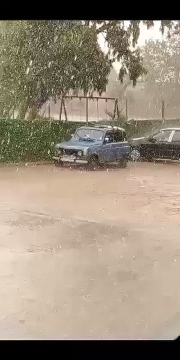 أمطار رعدية غزيرة وتساقط البرد أولاد ميمون شرق ولاية تلمسان