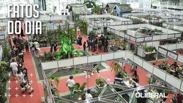 Feira de Cacau e Chocolate encerra programação no Hangar