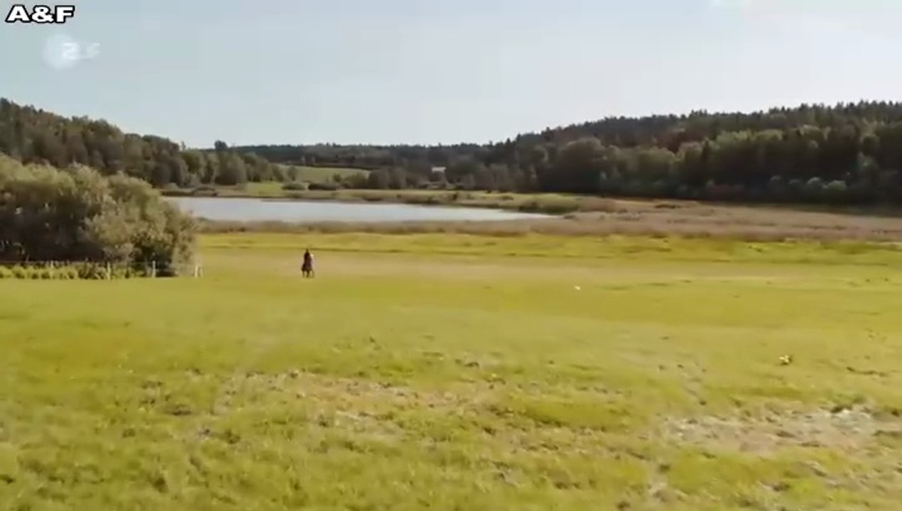 Inga Lindström -104- Das Flüstern der Pferde