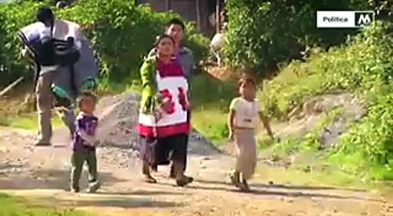 Todos somos indígenas