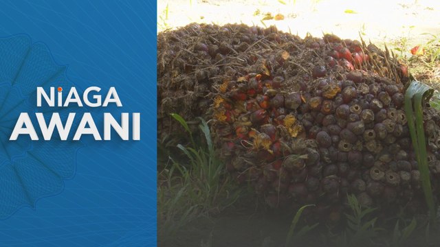 Niaga hadapan MSM diunjur diniagakan menurun sedikit minggu ini