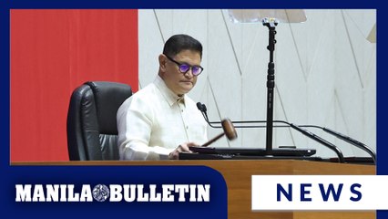 Mendoza says expedited bicam hearings on wage hike bill a must