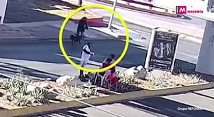 #YoQuéVoyASaber | Movilidad regia: En sentido contrario