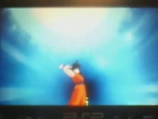 Shin Budokai Cancel style
