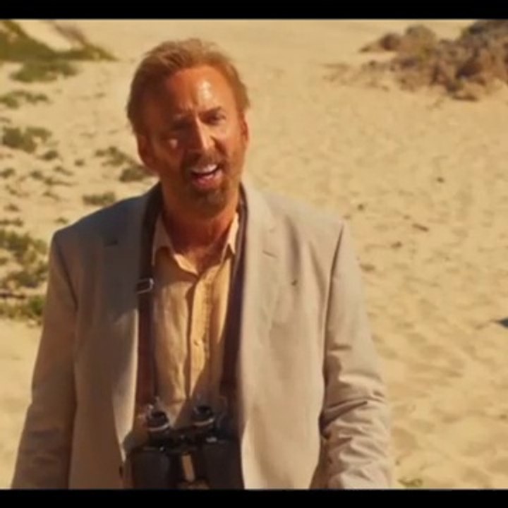 The Surfer (2024)