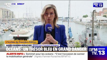 "La France est un des pays qui est à la pointe du combat contre la pollution plastique", souligne Agnès Pannier-Runacher