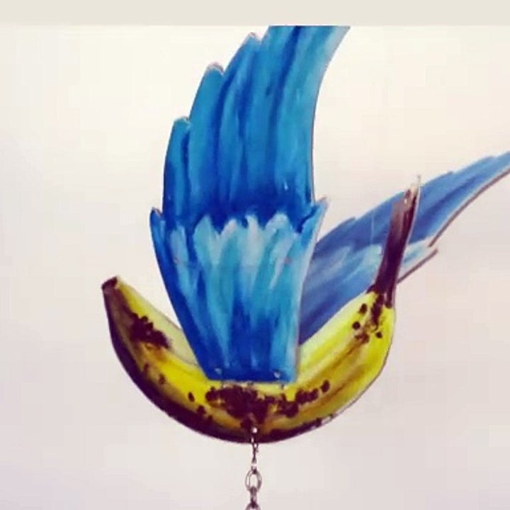 Flying banana
