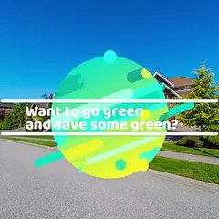 Want To Go Green And Save Some Green - Ronnie Tarabay