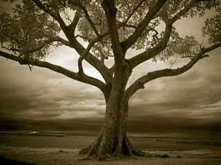 enstrumantal fon müzikleri 72