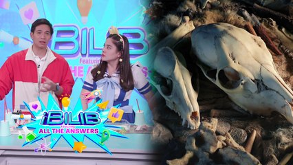 iBilib: Digging up clues from the past!