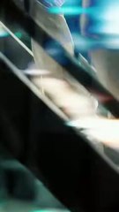 After rebirth, Sang Ning cuts ties with her fake family, reunites with her real father, and rises as an untouchable heiress.