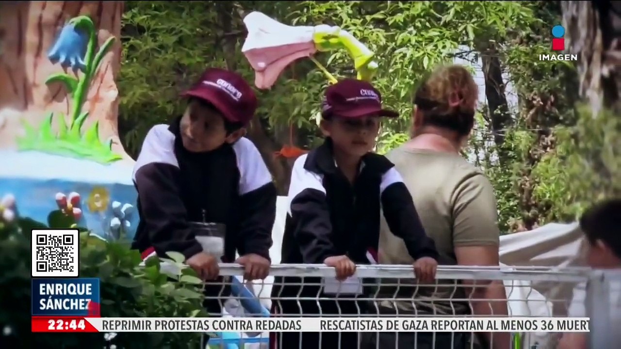 Pareja de capibaras causa sensación en el Parque Hidalgo