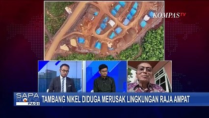 Polemik Tambang Nikel, Aktivis Greenpeace: Apa Kita Mau Lihat Raja Ampat Hancur Dulu Baru Bertindak!