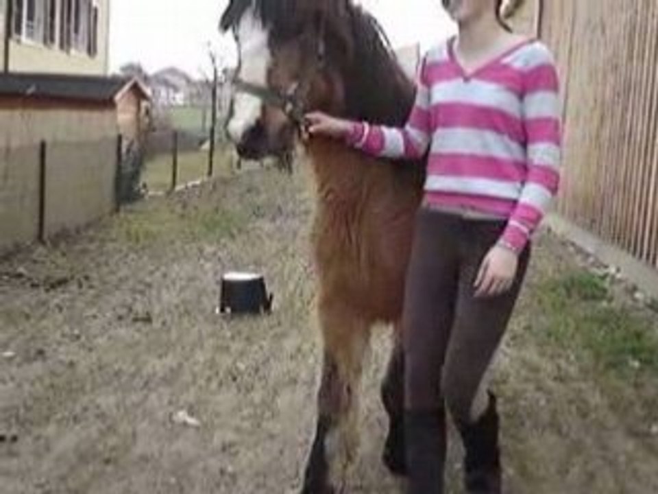 Pocker roxane l espoire