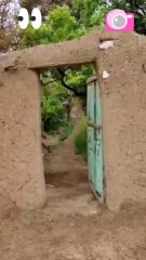 تنخواہ بڑھی، خوشی نہیں... کم ہوئی، غم نہیں | ایک ملازم کی حیران کن سوچ