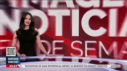 Cebra fugitiva es trasladada en un helicóptero a un lugar seguro