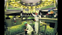 Space Stations Shaping Tomorrow's Megacities!