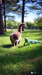 🐱 Cute Cat and Mr. Iguana Park Adventure 🦎Catch the best viral clips of June 2025 in our latest roundup! Like, share, and subscribe for daily exciting content. #Viral #Dailymotion2025 Top 30 Viral Hashtags: #Viral #Dailymotion #Trending #ViralVideo #Dai