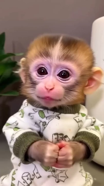 comedy video for you 😀 😂😂😂
