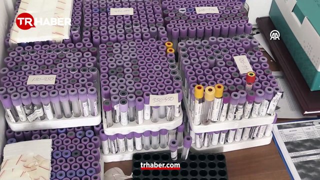 Türkiye'de yeni kene türü tespit edildi! Uzman isim uyardı: 30'dan fazla hastalık taşıyor