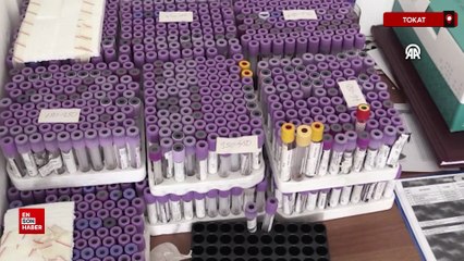 Yeni tespit edilen kene Türkiye'deki 56. tür olarak kayıtlara geçti