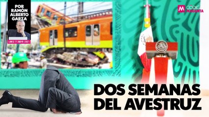 Dos semanas del avestruz