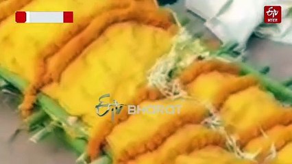इंसान और जानवर का अनोखा प्रेमः शव को घंटों देखता रहा लूंगर, अंतिम यात्रा में भी हुआ शामिल