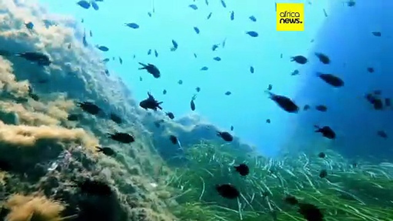 Climat : vers une ratification du traité sur la haute mer ?