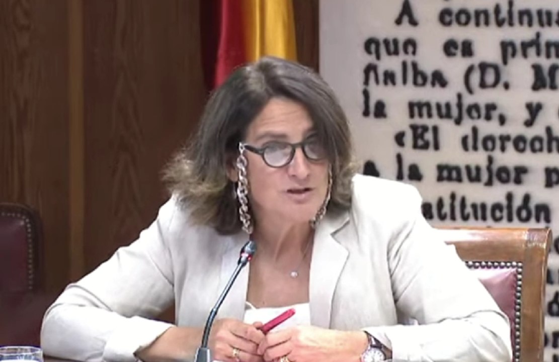 Teresa Ribera confirma una reunión con Aldama y Javier Hidalgo
