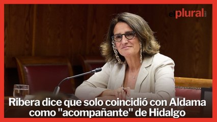 Ribera dice que solo coincidió con Aldama como "acompañante" del consejero delegado de Globalia