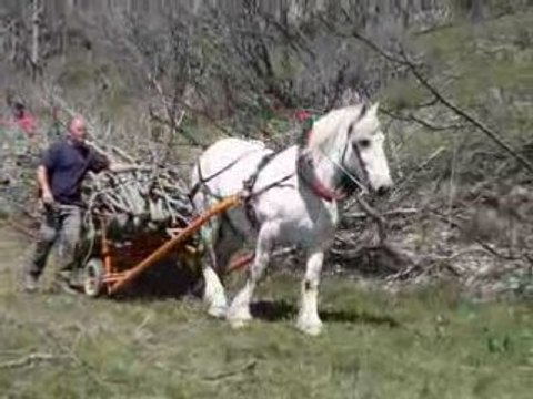 Chantier-Ecole-de Montdenis-2008-4