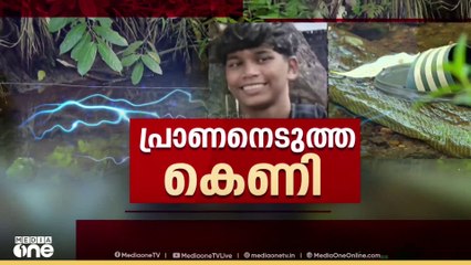 കാട്ടുപന്നിയെ ക്ഷുദ്രജീവിയായി പ്രഖ്യാപിക്കില്ലെന്നതിൽ ഉറച്ച് കേന്ദ്രസർക്കാർ