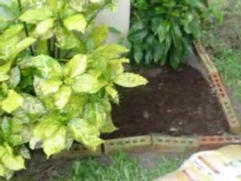 Jardin les plantations 10mai08