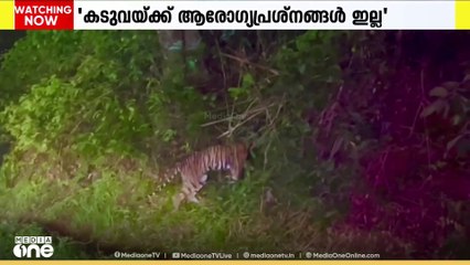 ഇടുക്കി മൈലാടും പാറയിൽ കുഴിയിൽ വീണ കടുവയെ തുറന്നു വിട്ടു