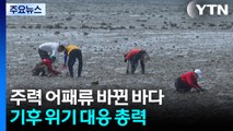 [경기] 주력 어패류 바뀐 바다...기후 위기 대응 총력 / YTN