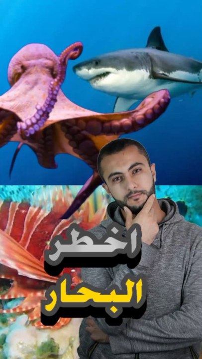 أخطر 3 بحار مليانة وحوش قاتلة! 🌊😱https://psce.pw/7pwhzc#النواة #بحر_باندا #بحر_الشيطان #البحر_الابيض #Alnawa #dubai🇦🇪 #dubailife #Banda_Sea #Devil_Sea #trending #travel #nature #wildlife