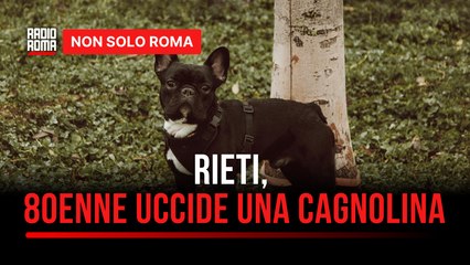Sconcerto a Rieti, 80enne imbraccia il fucile e uccide una cagnolina