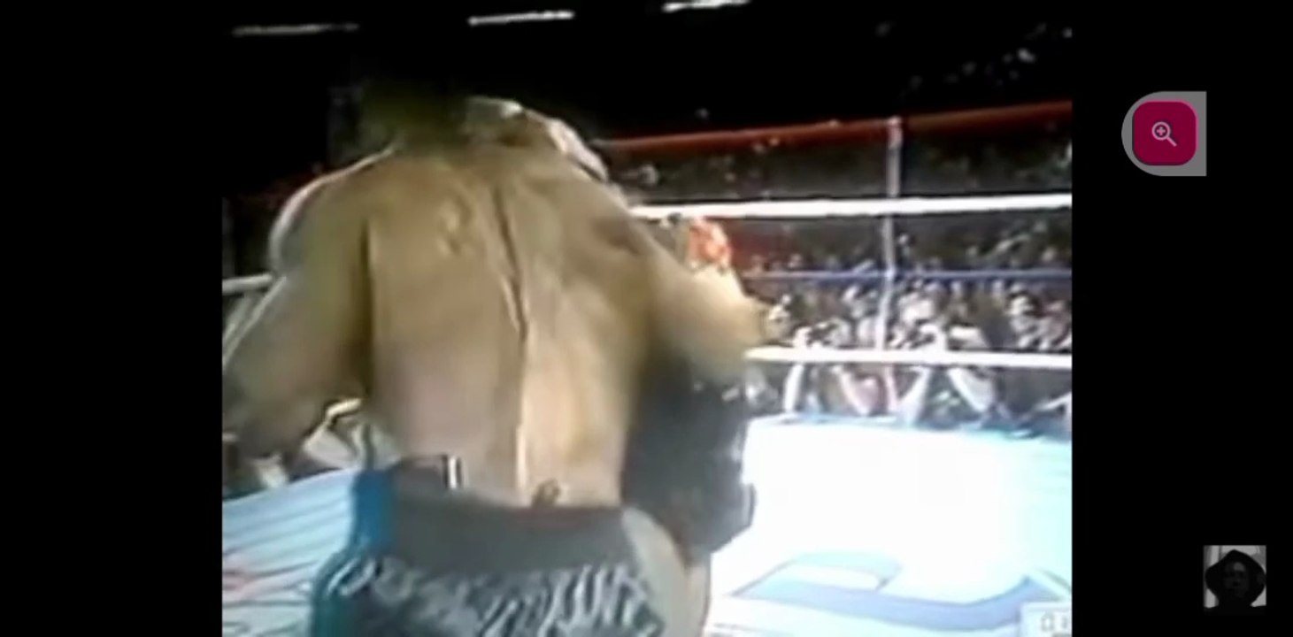 #miketyson