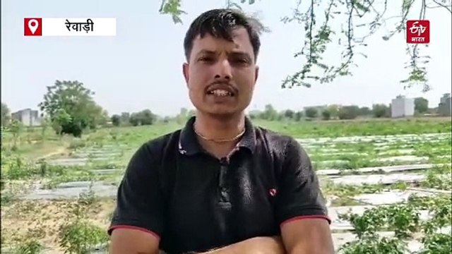 हरियाणा में गर्मी और लू का खतरा बढ़ा, अस्पतालों में बढ़ी भीड़, जानें भीषण गर्मी से कैसे बचें