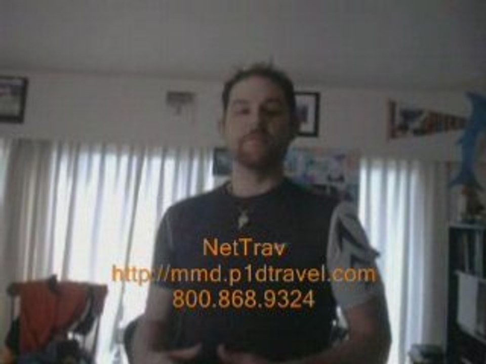 NetTrav has Orbit/ Expedia and travelocity shaking