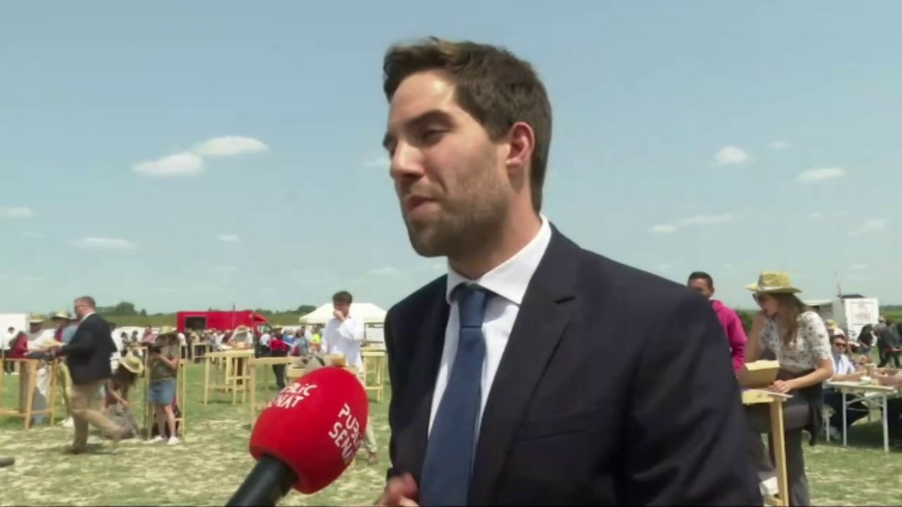 Thomas Ménagé : "Mr Salvini ou Mr Orban ont tout de suite été emballés""