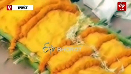 ਇਨਸਾਨ ਅਤੇ ਜਾਨਵਰ ਦਾ ਅਨੋਖਾ ਪਿਆਰ: ਪਹਿਲਾਂ ਆ ਕੇ ਮ੍ਰਿਤਕ ਦੇਹ ਨੂੰ ਚੂੰਮਿਆ ਫਿਰ ਬੈਠ ਕੇ ਦੇਖਦਾ ਰਿਹਾ ਲੰਗੂਰ, ਅੰਤਿਮ ਸਸਕਾਰ 'ਚ ਵੀ ਹੋਇਆ ਸ਼ਾਮਿਲ