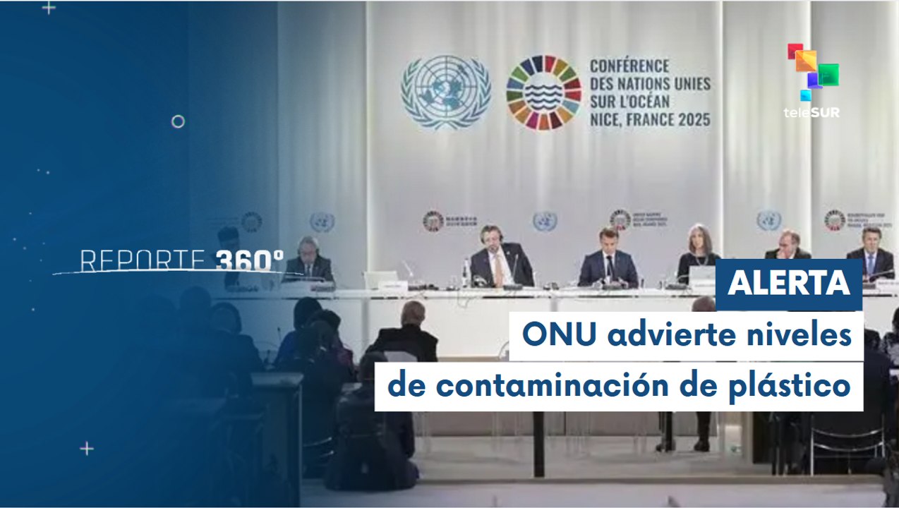 Reporte 360° 09-06 ONU alerta desplome de la biodiversidad marina